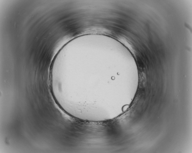 X0000096391103200802141449