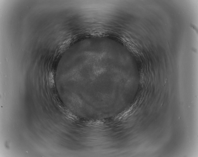 X0000096391106200802141448