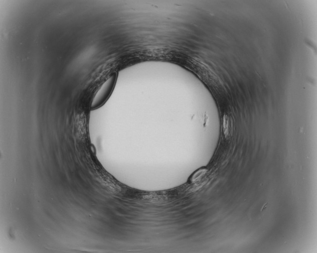 X0000096391107200802141448