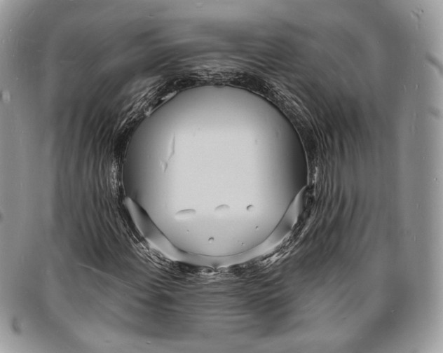 X0000096391108200802141448