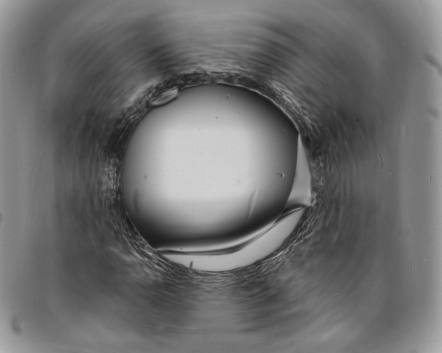X0000096391110200802141448