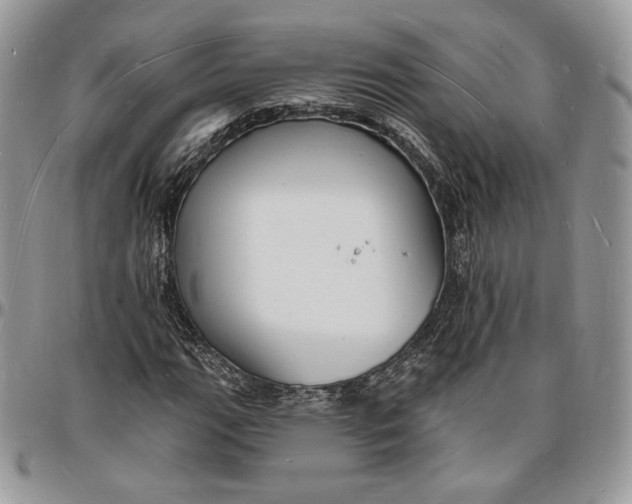 X0000096391111200802141448