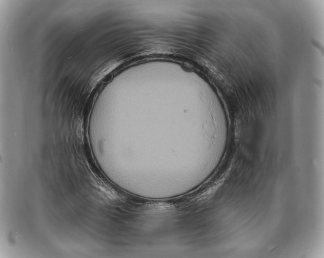 X0000096391113200802141448