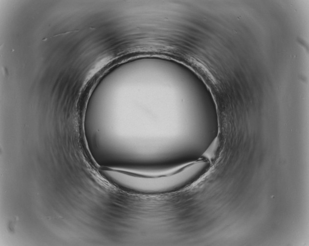 X0000096391114200802141448