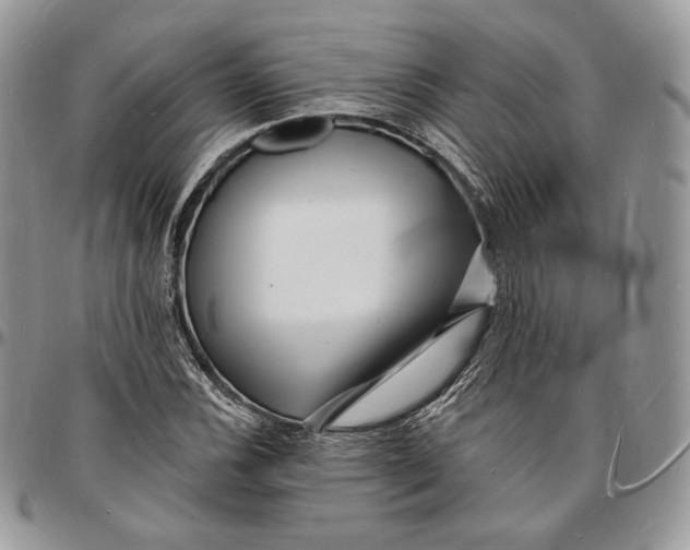 X0000096391116200802141449