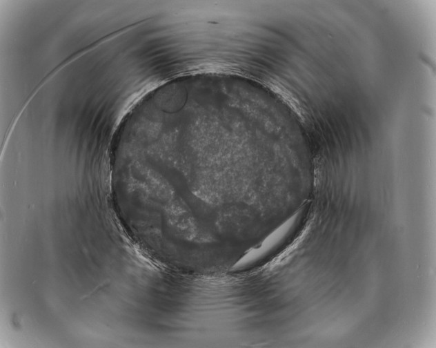 X0000096391117200802141449
