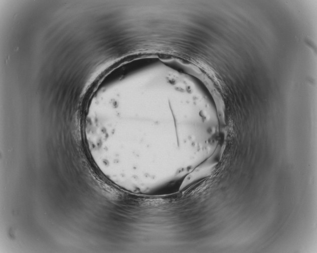X0000096391120200802141449