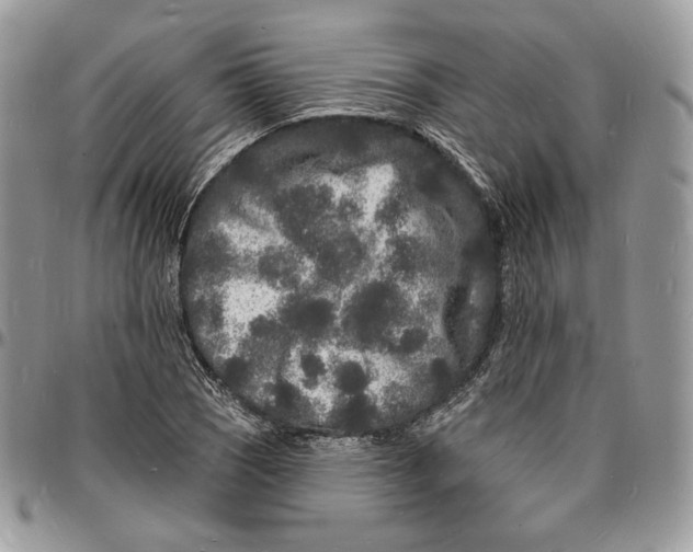 X0000096391121200802141449