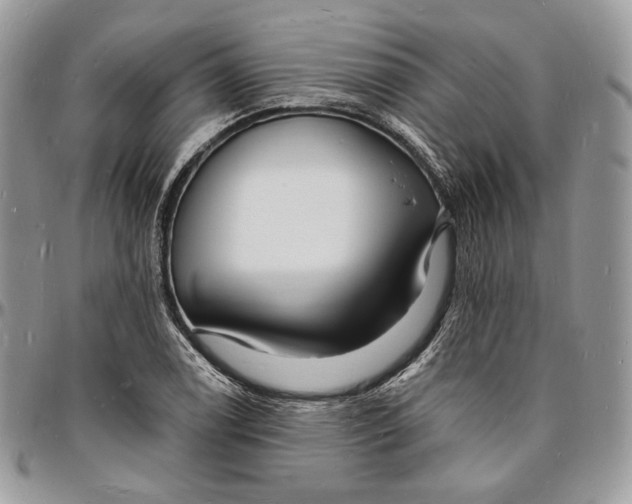 X0000096391122200802141449