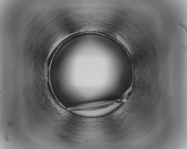 X0000096391124200802141449