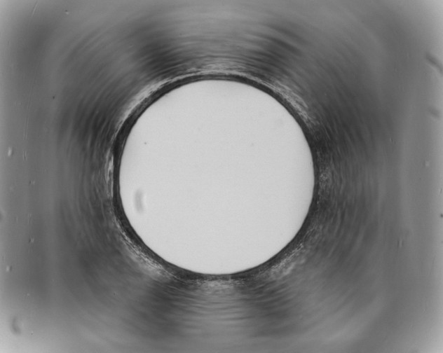 X0000096391126200802141449