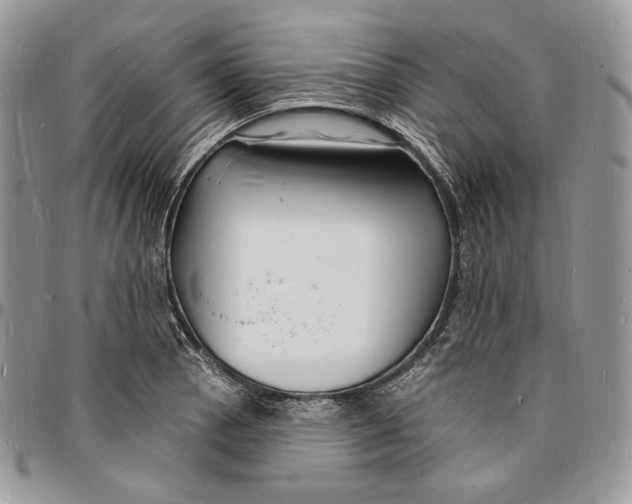 X0000096391129200802141449