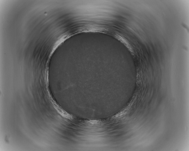 X0000096391130200802141449