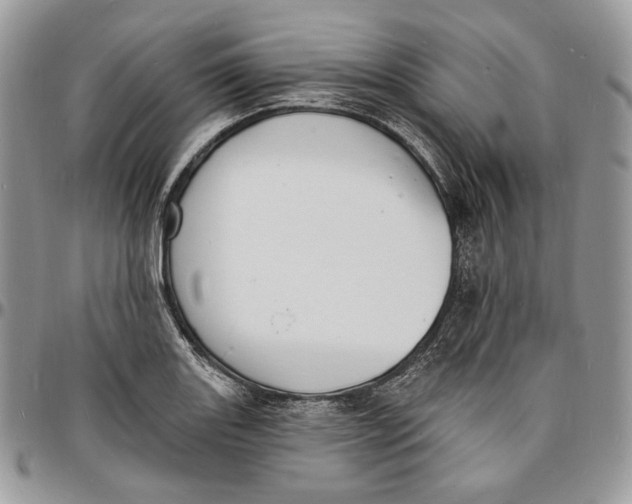 X0000096391131200802141449