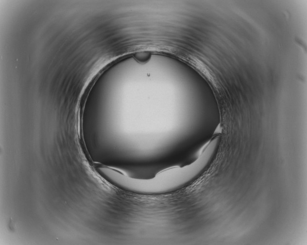 X0000096391132200802141449