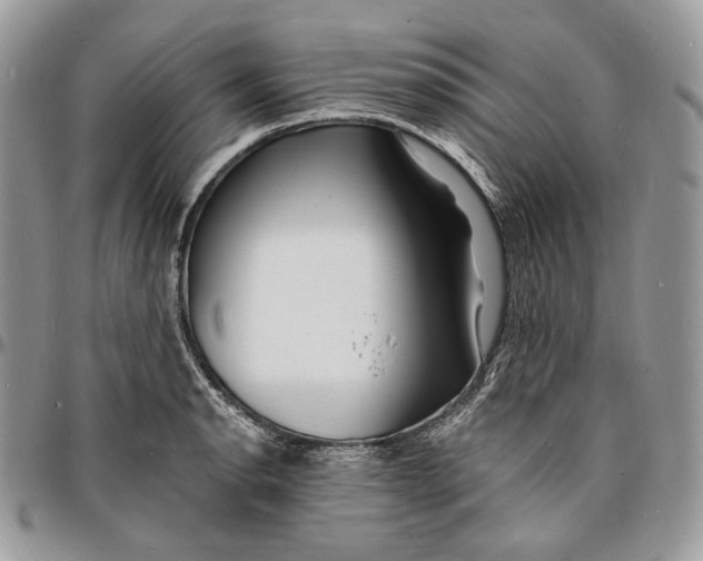 X0000096391134200802141449