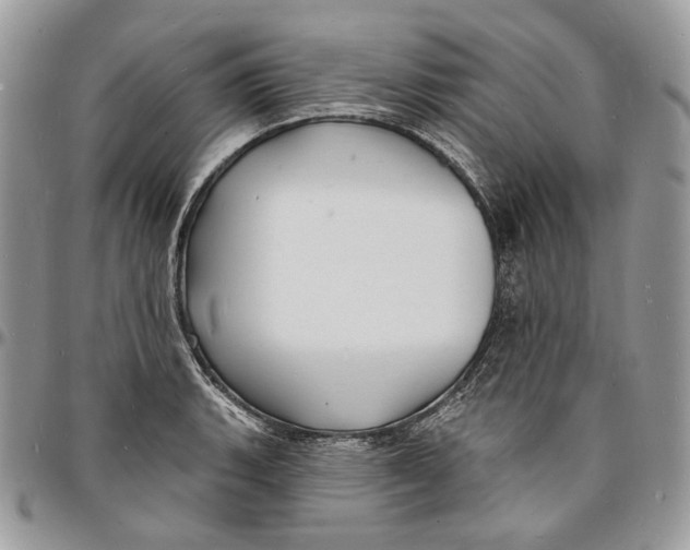 X0000096391135200802141449