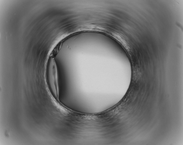 X0000096391136200802141449