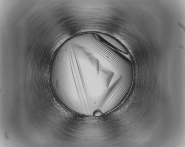 X0000096391137200802141449