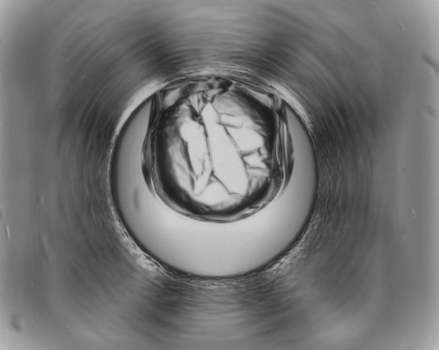 X0000096391138200802141449