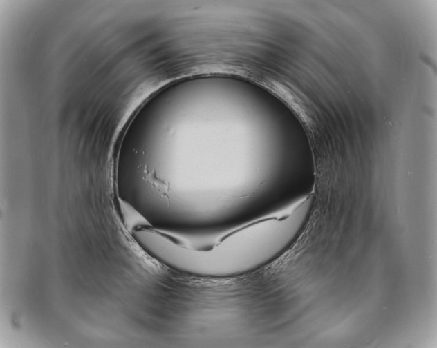 X0000096391140200802141449