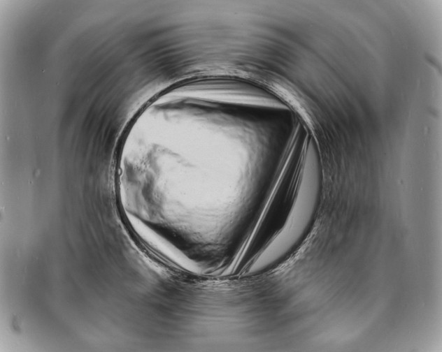 X0000096391141200802141449