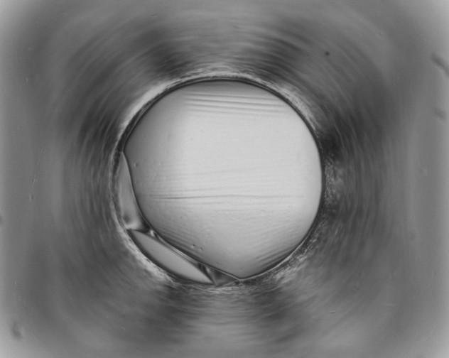 X0000096391142200802141449