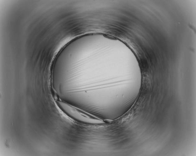 X0000096391143200802141449
