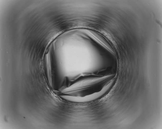 X0000096391145200802141449