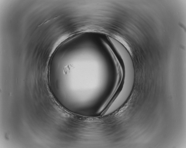 X0000096391146200802141449