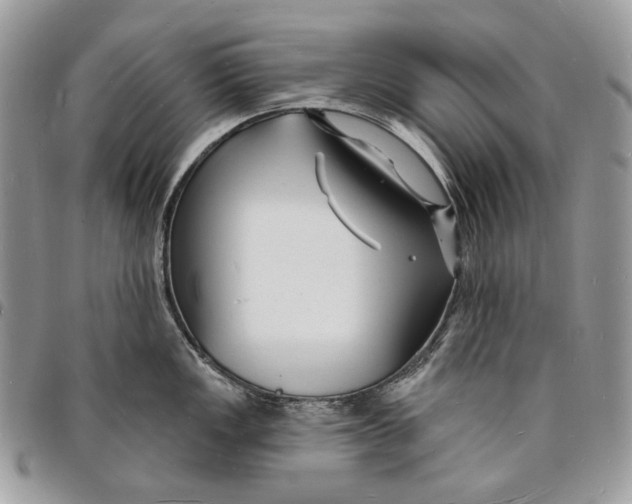X0000096391149200802141449