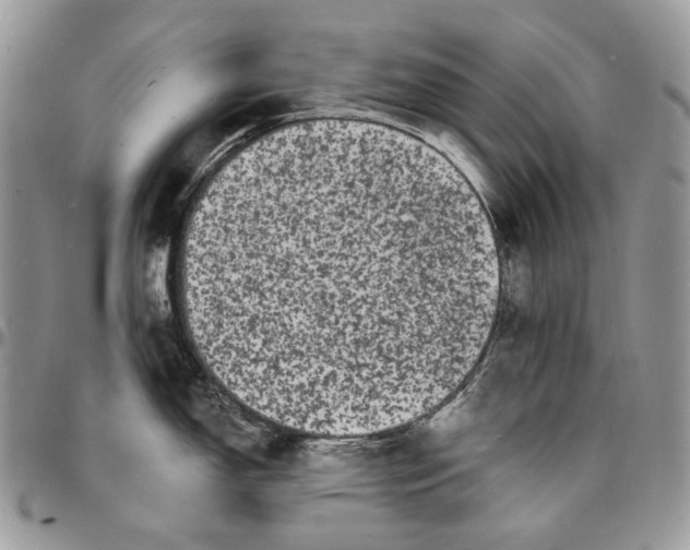 X0000096391150200802141449
