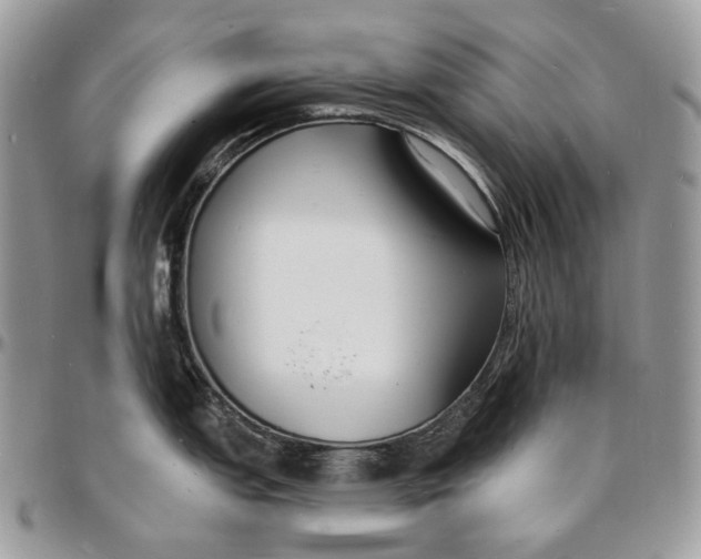 X0000096391151200802141449