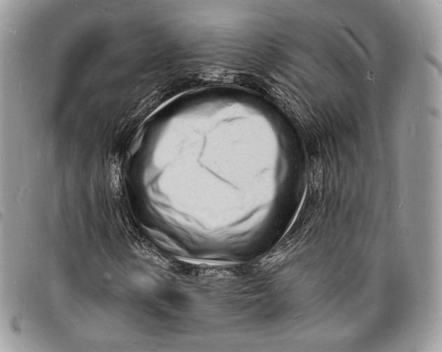 X0000096391154200802141448