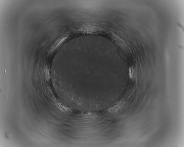 X0000096391155200802141448