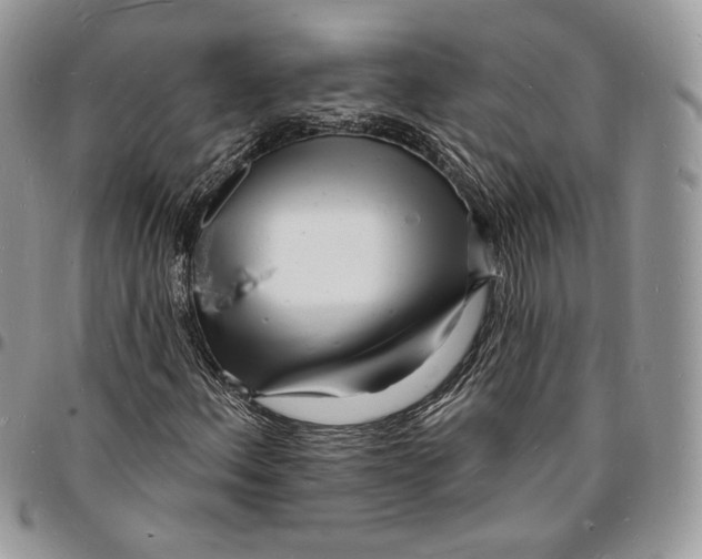 X0000096391156200802141448