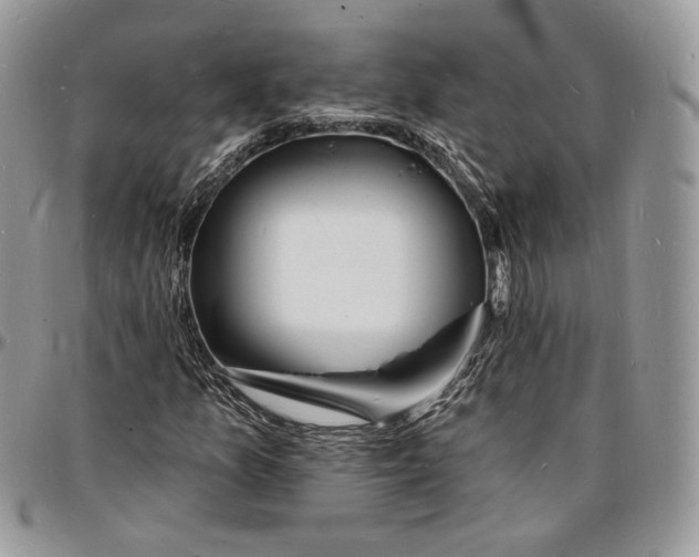 X0000096391157200802141448