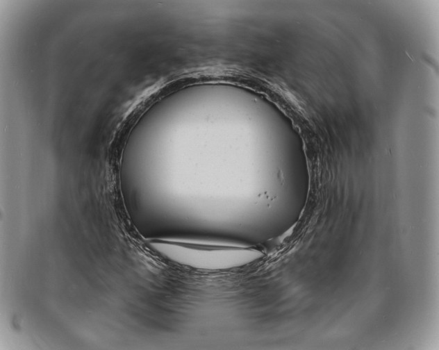 X0000096391160200802141448