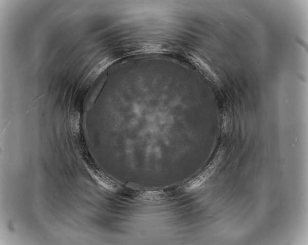 X0000096391161200802141448