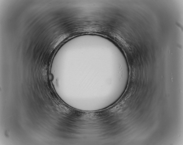 X0000096391162200802141448