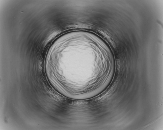 X0000096391163200802141448