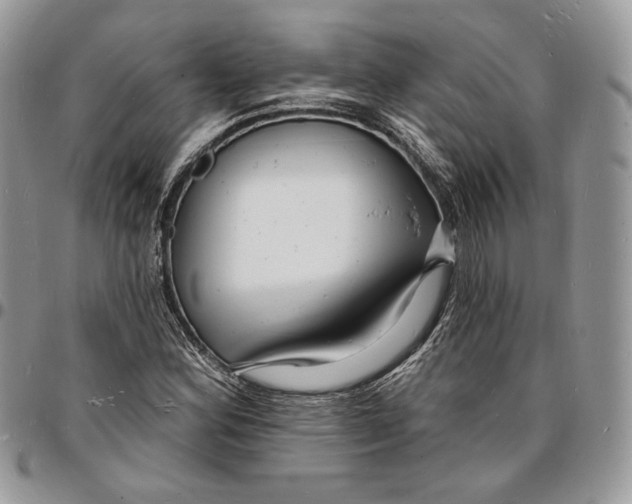 X0000096391164200802141448