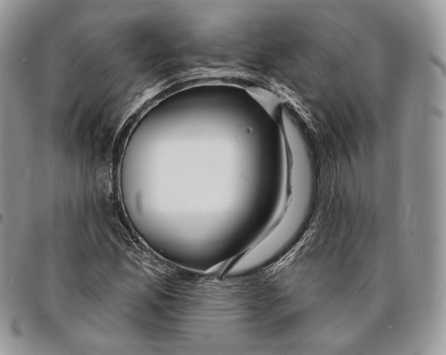 X0000096391165200802141448