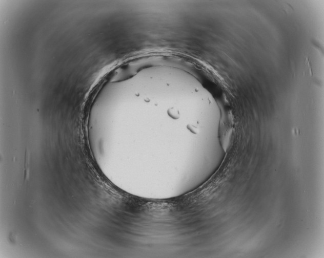 X0000096391168200802141448