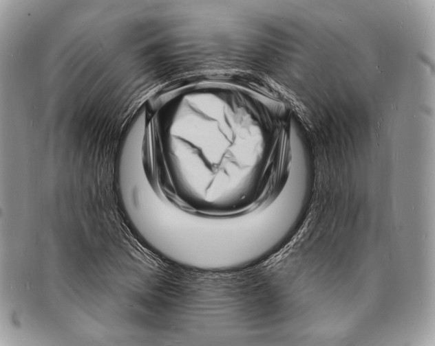 X0000096391169200802141448