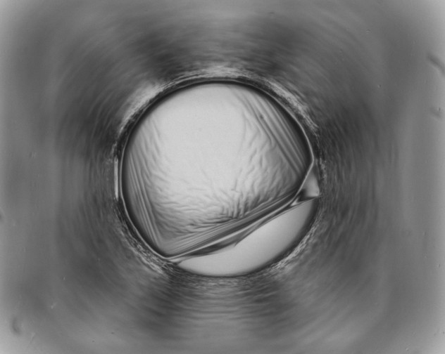 X0000096391171200802141448