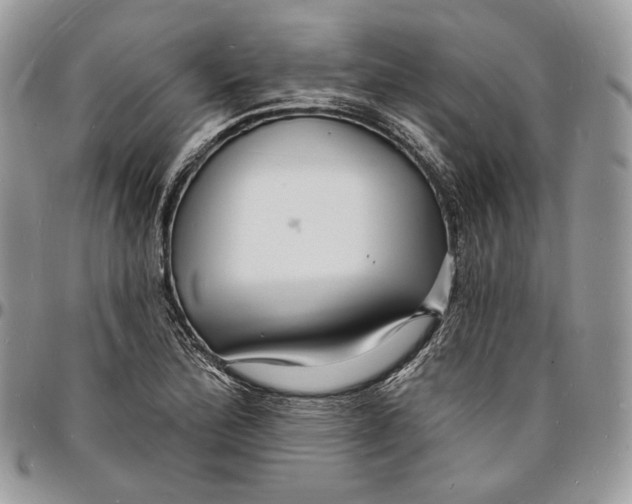 X0000096391172200802141448
