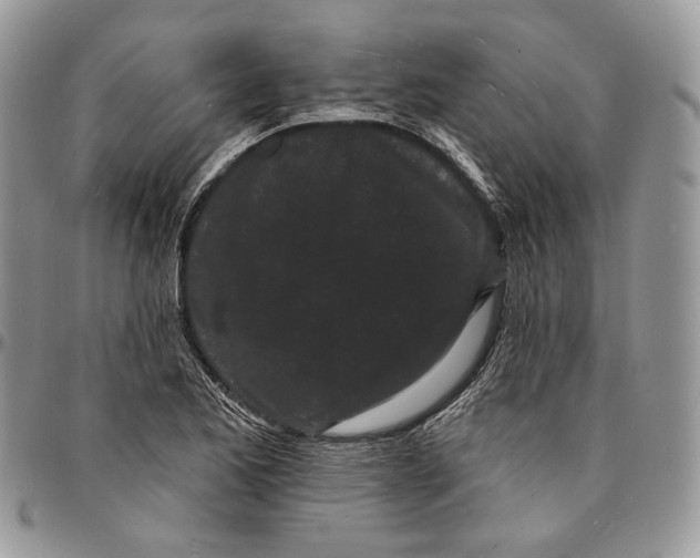 X0000096391173200802141448