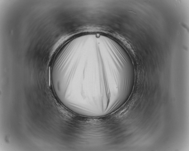 X0000096391175200802141448