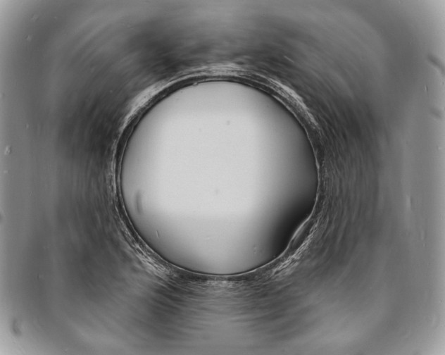 X0000096391176200802141448